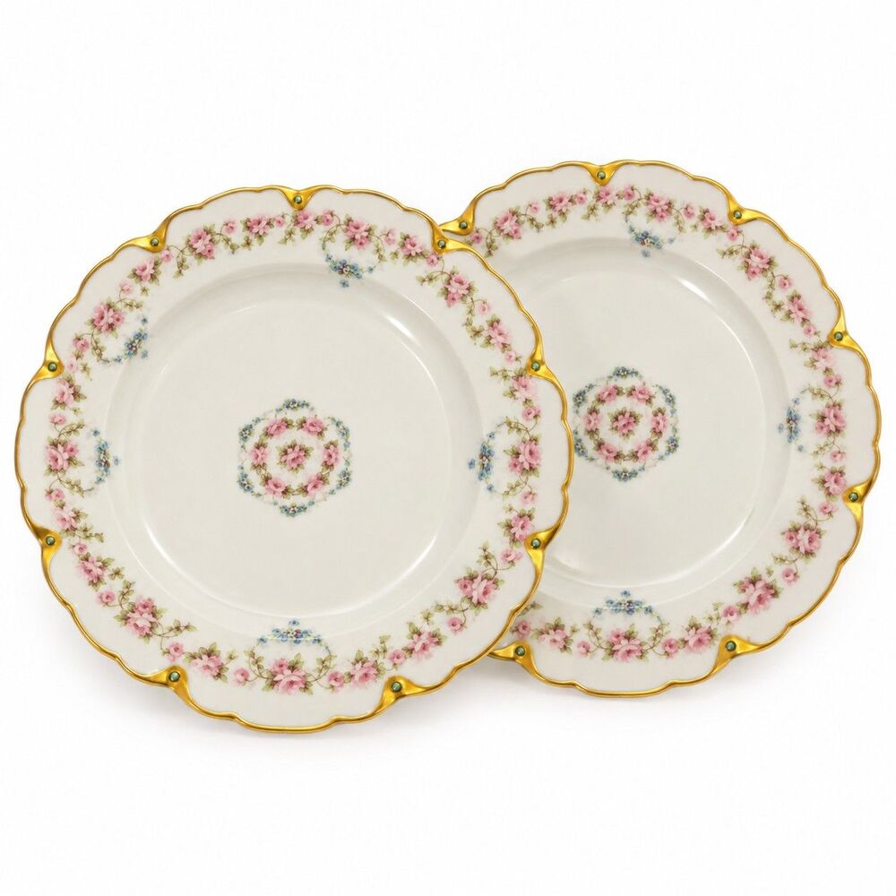 Theodore Haviland Limoges France Floral Gold Scalloped 9" Plates Set of 2